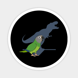 Funny Dusky headed Conure T-rex Magnet